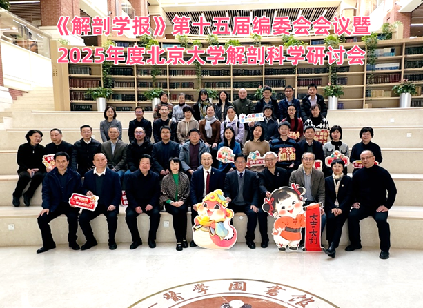 《解剖学报》第十五届编委会会议暨2025...