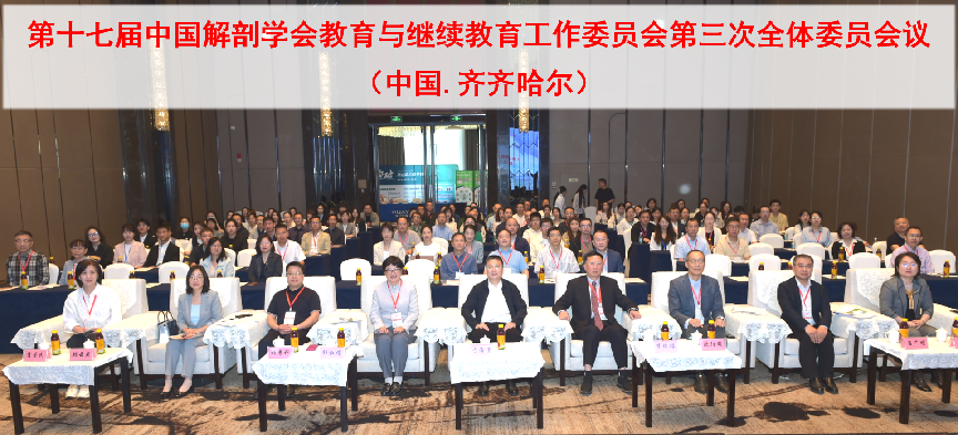 图片11