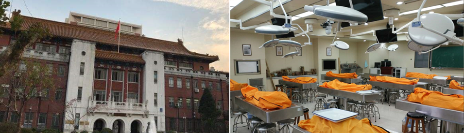 举办局部解剖学与临床手术解剖学高级师资进修班通知