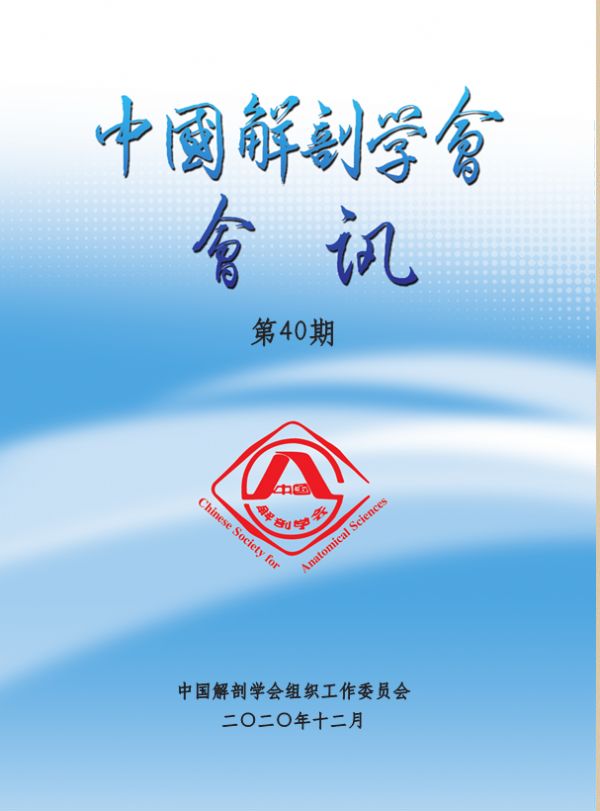 中国解剖学会第40期会讯
